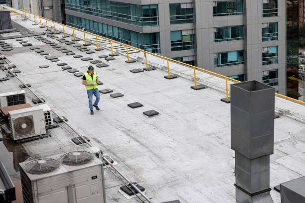 Best Asphalt Shingle Roofing  in Warren, IL