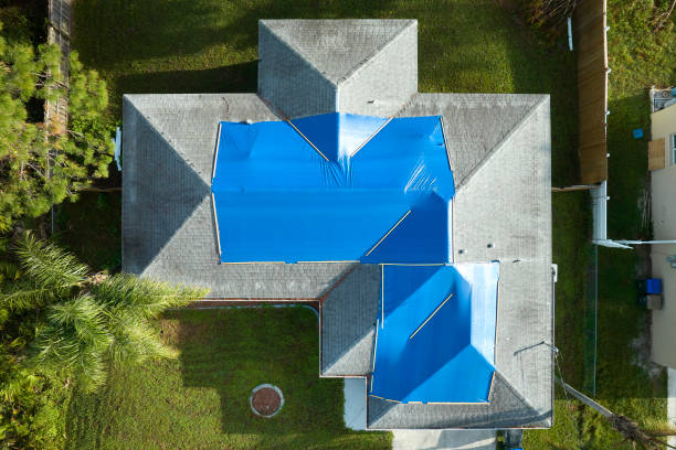 Best Roof Maintenance and Cleaning  in Warren, IL